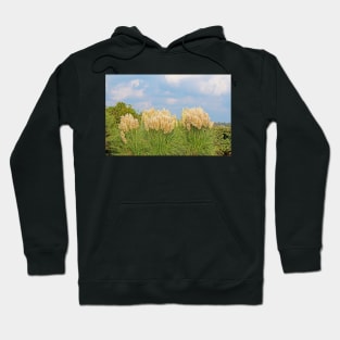 Pampas Grass Hoodie